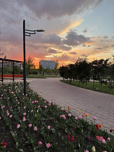 423 соток, Для строительства, Красная книга, Договор купли-продажи