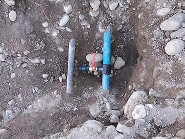 бассейн дельфин: Сантехник — 1