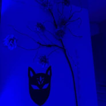 комнаты ысык кол: Мы Гостиница. Квартира. Посуточная. Новая. 4 комнаты. Адрес — 6