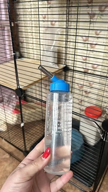 питон змея: Продаётся клетка для шиншиллы, размеры примерно ?30 см (В×Ш×Г). Клетка — 2