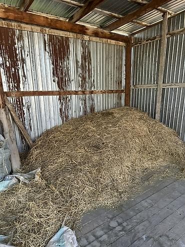 Солома россыпью - Натуральная солома из злаковых культур, хранится
