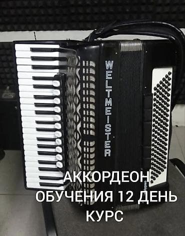 Музыкальные инструменты: АККОРДЕОН ОБУЧЕНИЯ 12 День КУРС — 1