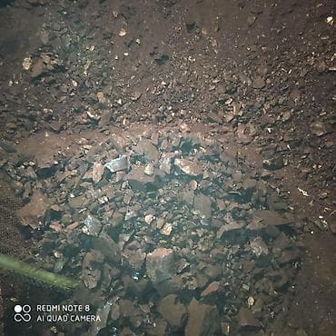 дрова в бишкеке: Кара кече беш сары250с,шабыркуль450 дрова 250 — 2