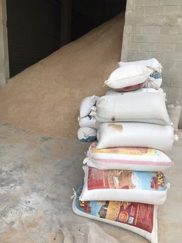 рэгдолл цена: Отруби отруби Отруб отруб Улпак улпак Улпаг улпак Кепек Кебек Кевек — 4