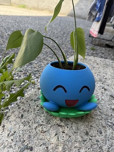 🌱 Филодендрон в горшке-покемоне Oddish 🌱 горшки большие Продаю at lalafo.kg 🌱 Филодендрон в горшке-покемоне Oddish 🌱 горшки большие Продаю