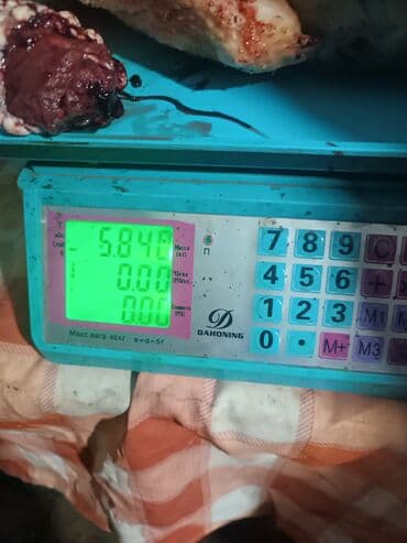 Птицы: Идиюк домашний 6/7 кг эт чыгат — 7