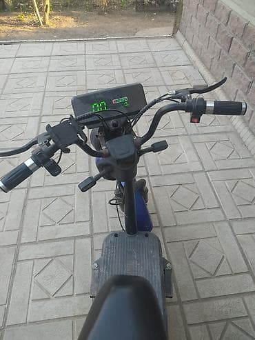 eagle eyes: Электроскутер Panda (городской мини-скутер) - Электропривод заднего — 3