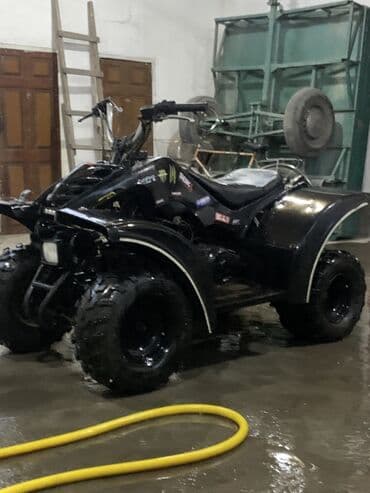 куплю опрыскиватель аккумуляторный: Квадроцикл Бензин, 160 куб. см, Взрослый — 6