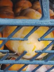 ведро эмалированное с крышкой 10л цена бишкек: Хурма в ящиках - Сорт: крупноплодная хурма (не вяжет при полной — 23