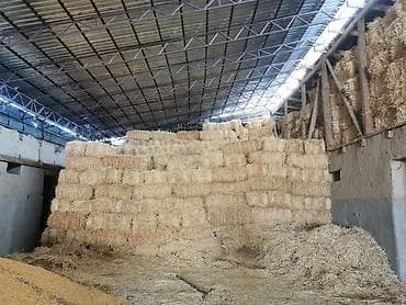 4 5мм: Солома в тюках (продаю) — 1