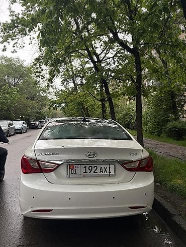 желтый соната: Hyundai Sonata: 2010 г., 2 л, Автомат, Газ, Седан — 5