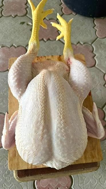 уй порода: Продаем домашних бройлеров — выращены на натуральных кормах с особым — 2