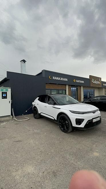 коврик на понель: Гибрид, 1.5 обьем, электро на 155 к, PLUGIN ENOREVE (модель ME5) Общий — 2