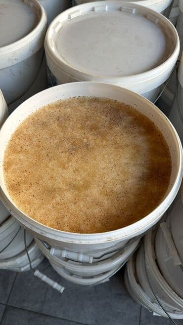 шкаф для однжды: Горный 💯% чистый мед 🍯 — 5