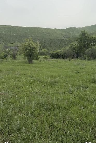 Недвижимость: 5 соток, Для строительства — 3