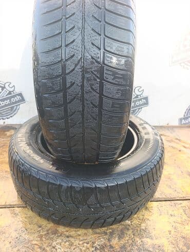 диагностический кабель vag com kkl 409.1: Шины 215 / 55 / R 16, Всесезонная, Б/у, Пара, Легковые, Германия, Michelin — 2