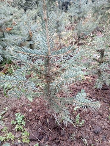 ароматные палочки: Декор для дома и сада — 3