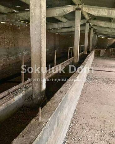 купить а фрейм дом: 30 соток — 4