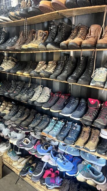 оптовый отдел: Toyota 4Runner: 2025 г. — 1