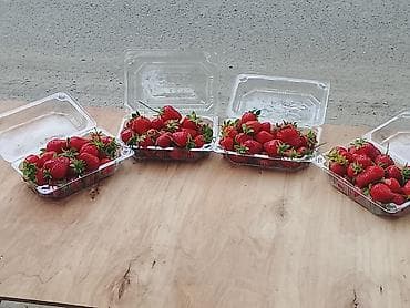Продукты питания: Клубника Альбион — 2