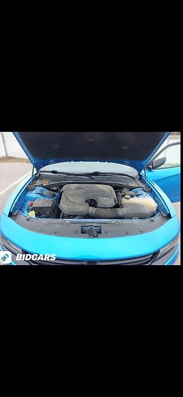 start line champion: Dodge Challenger: 2019 г., 3.6 л, Автомат, Бензин, Седан — 10