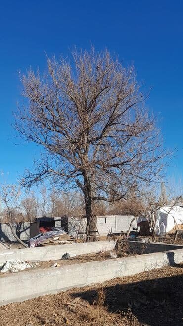 бу спальный гарнитур бишкек цены: Жаңгак багы сатылат — 3