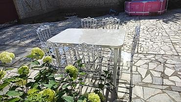 паркет купить: Стол и стул для зала, цвет - Белый — 2