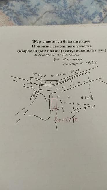 алтын казык ж м: 5000 соток, Для сельского хозяйства, Красная книга — 4