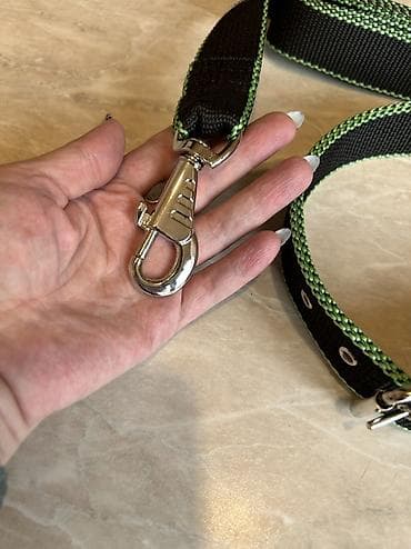 german shepherd: Комплект ошейник+поводок для крупных собак. Амуниция из нейлона — 7