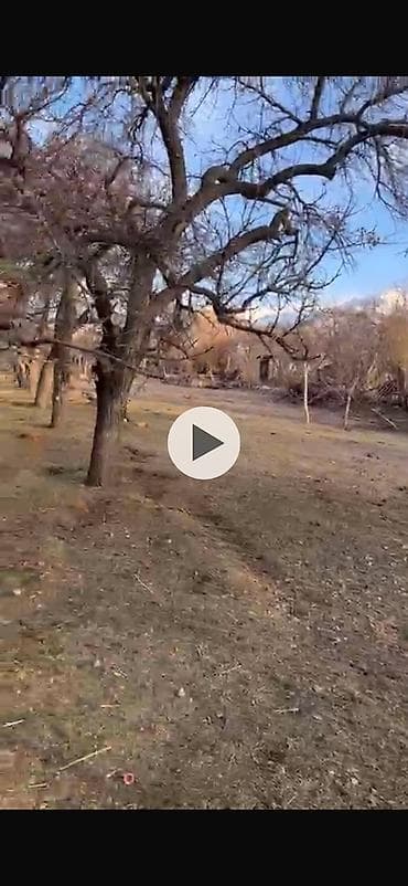 участок дачная: 15 соток, Для бизнеса, Красная книга, Тех паспорт, Договор дарения — 3