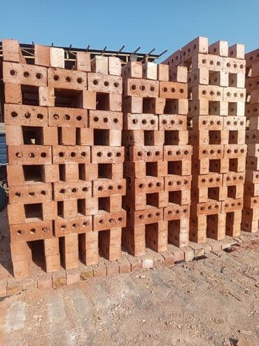 Кирпич Соня