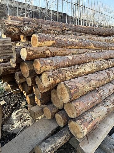 леса турецкие: Срочно!!! Продается Кругляк(сосна, пихта, тополь и др. породы)длина — 8