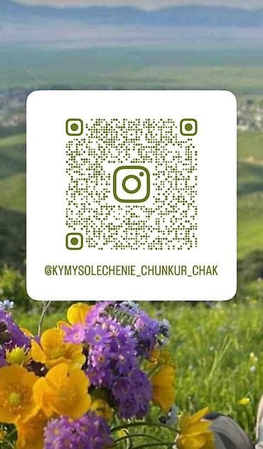 чашка жорго такси: Талап кылынат Ашпозчу : Ысык цех, Улуттук ашкана, 1-2-жылдык тажрыйба — 1