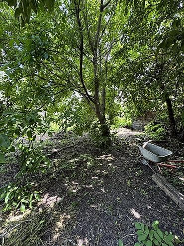 виноградное село: 📌В центре села Беловодское срочно продается дом на участке 10,8 соток — 5