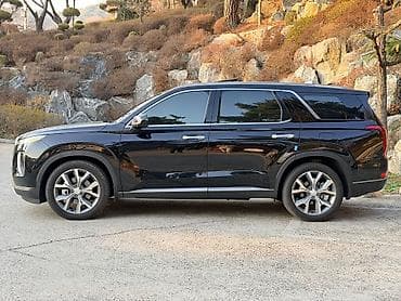 tsunami 100: Hyundai Palisade: 2019 г., 2.2 л, Автомат, Дизель, Кроссовер — 4