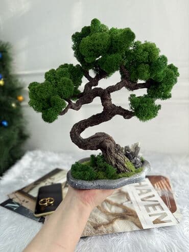 Свечи и подсвечники: Авторские интерьерные композиции из стабилизированного мха 1) Райский — 2