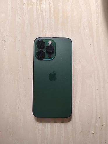 IPhone 13 Pro, Б/у, 128 ГБ, Alpine Green, Кабель, Защитное стекло, Чехол, 94 %