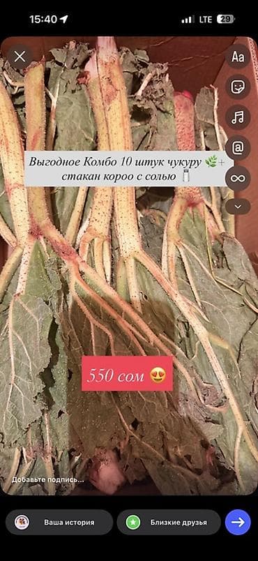 арбуз алам: Абрикосы В розницу — 7