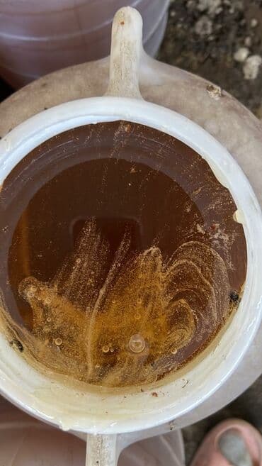 мука сарыарка цена бишкек: Мёд 🍯 горный токтогулский в Кара Балта — 4
