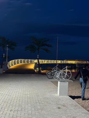 барачные дома: Коттедж, palm beach ЦО Palm Beach, Чок-Тал, Детская площадка, Парковка, стоянка, Охраняемая территория — 2