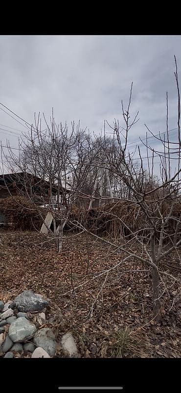 жал дача: 5 соток, Договор купли-продажи, Тех паспорт — 1