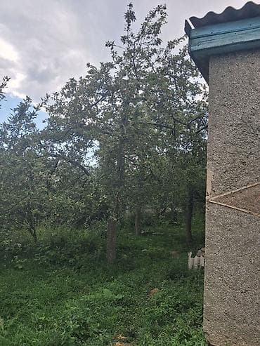 Дома: 2 дома на участке. Есть возможность обмена на другую недвижимость — 4