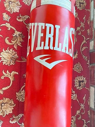 читать книгу гравити фолз дневник 1: Боксёрский мешок Everlast (подвесной), красный. - Бренд: Everlast - — 2