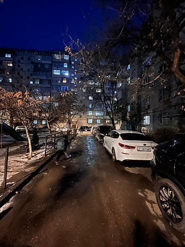 пр чуй: 2 комнаты, 50 м², 105 серия, 3 этаж, Старый ремонт — 3