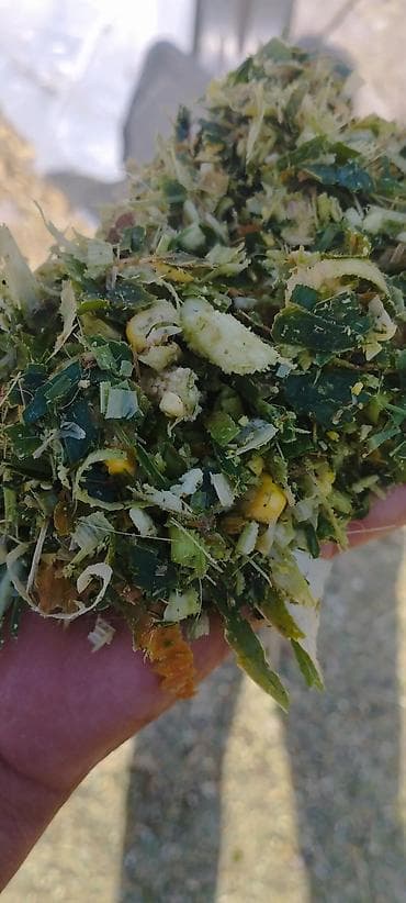 зоомагазин бишкек с животными: Забудьте о проблемах с хранением и транспортировкой кормов! Наш — 7