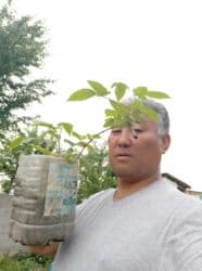 семена микрозелени бишкек: Другие виды семян и саженцев — 2