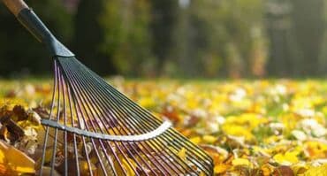 сколько стоит обучение на маникюр: Сделали ландшафтный дизайн? Нужно поддерживать его в идеальном — 6