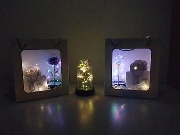 света диод: Набор с мишкой и колбой с цветком всего за 500 сом LED-декорации — 1