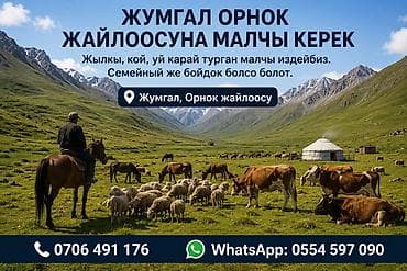 уй порода: ЖУМГАЛ ОРНОК ЖАЙЛООСУНА МАЛЧЫ КЕРЕК Жылкы, кой, уй карай турган малчы — 1