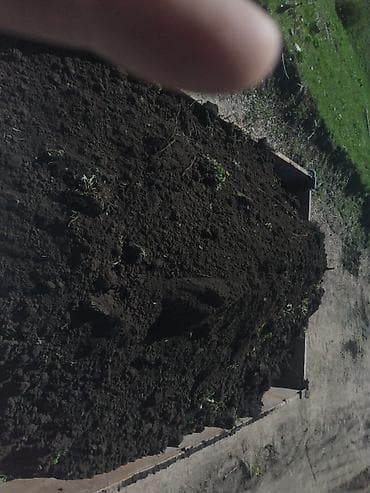 ящики деревянные для фруктов: Камаз — 2